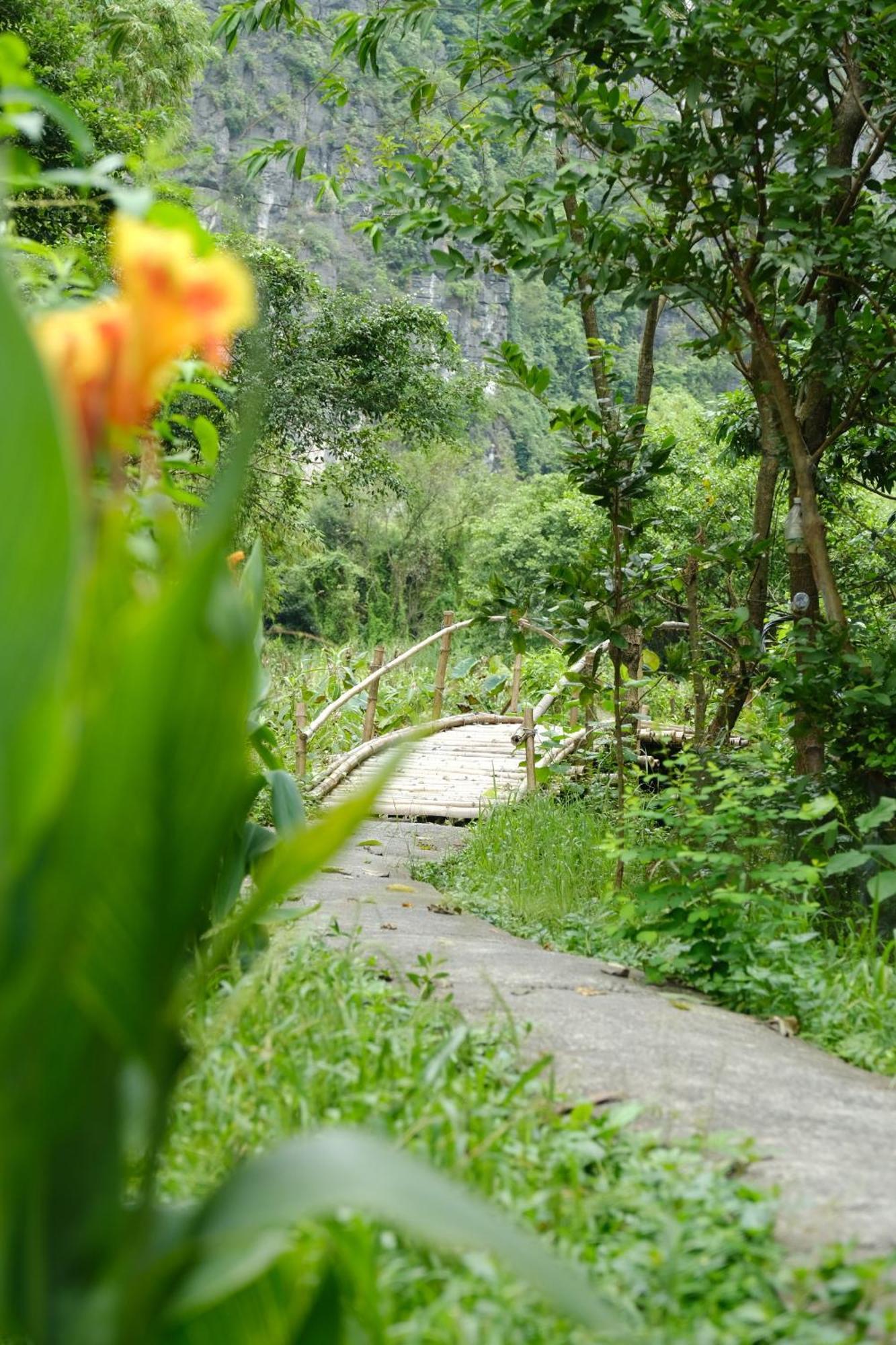 Chez Beo Homestay Ninh Binh Exterior foto