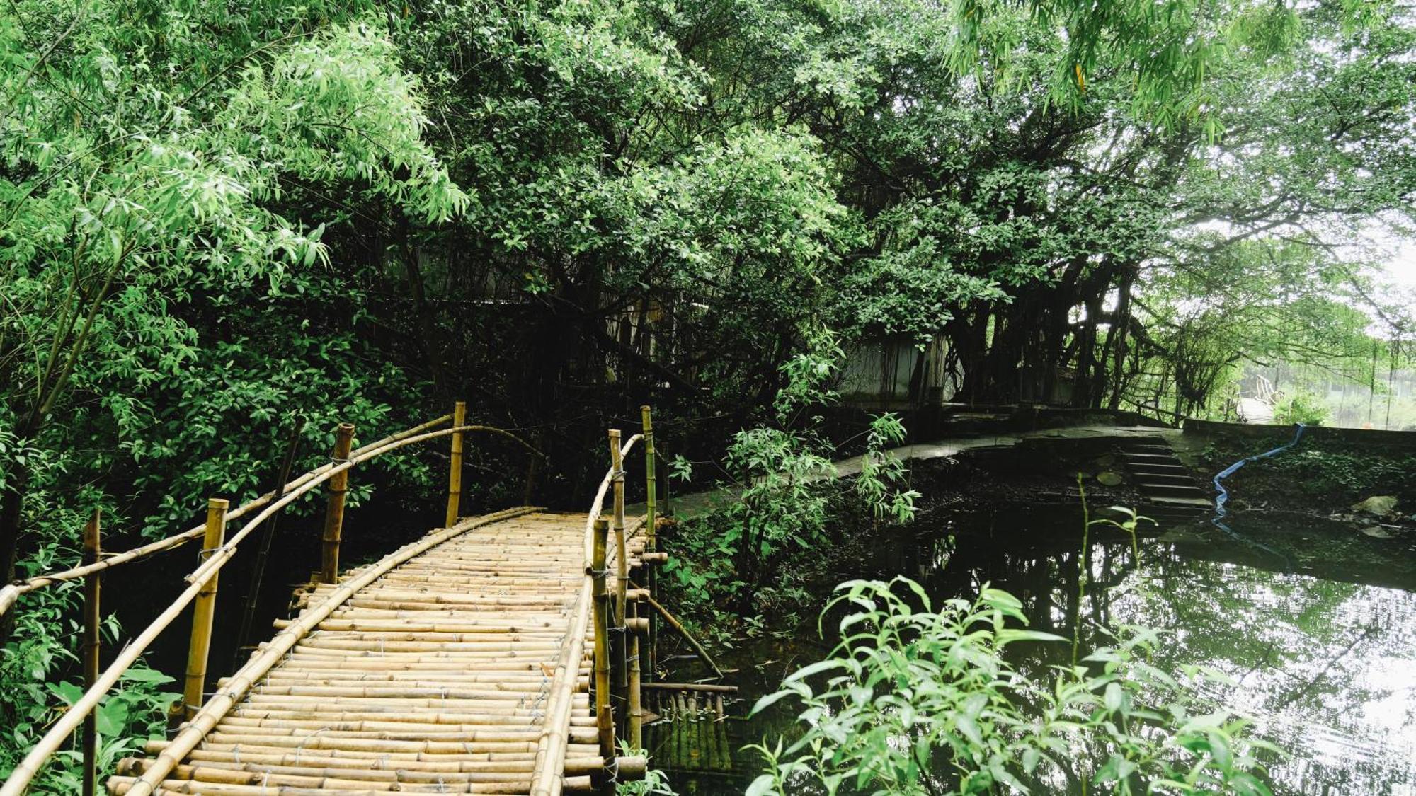 Chez Beo Homestay Ninh Binh Exterior foto